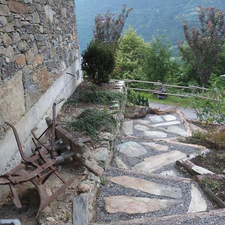 Agriturismo Al Castagneto Villa Mazzo di Valtellina Bagian luar foto