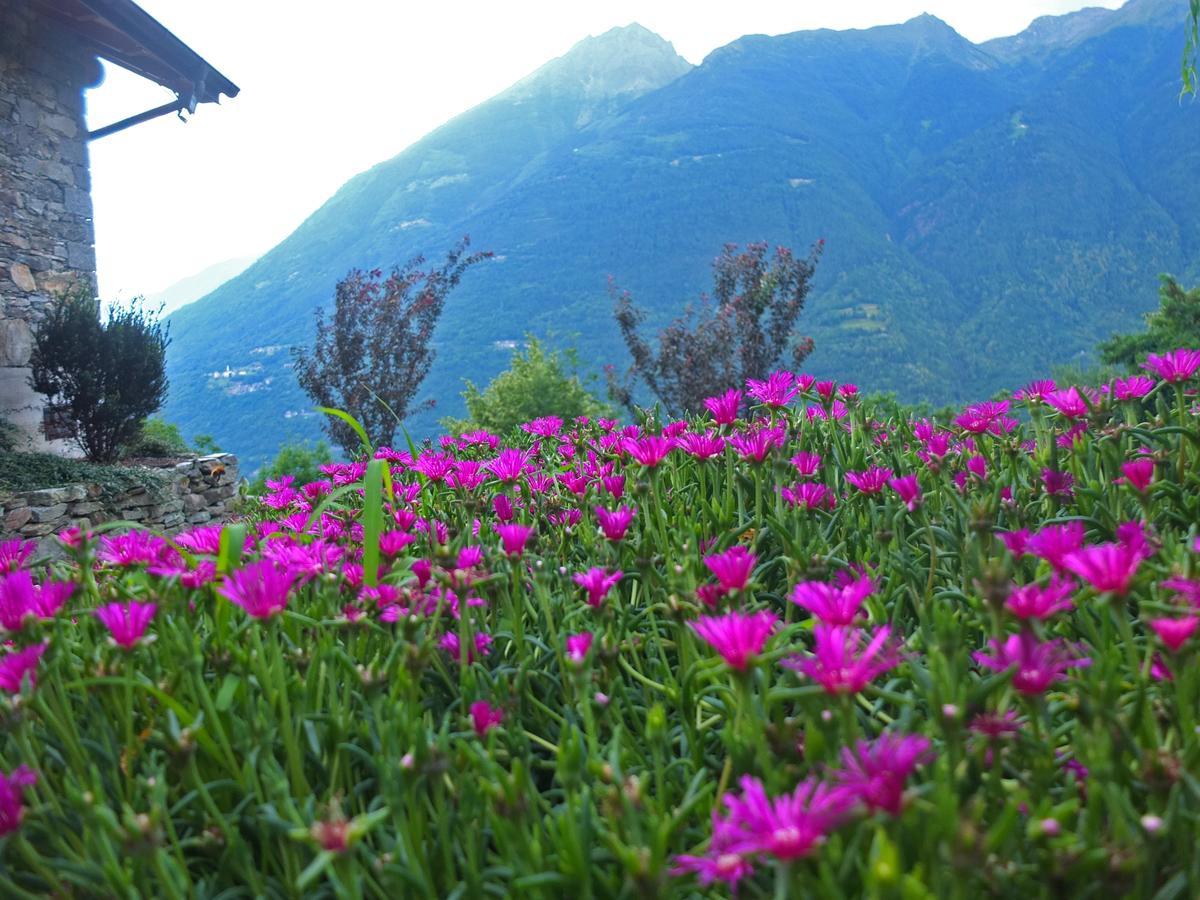 Agriturismo Al Castagneto Villa Mazzo di Valtellina Bagian luar foto