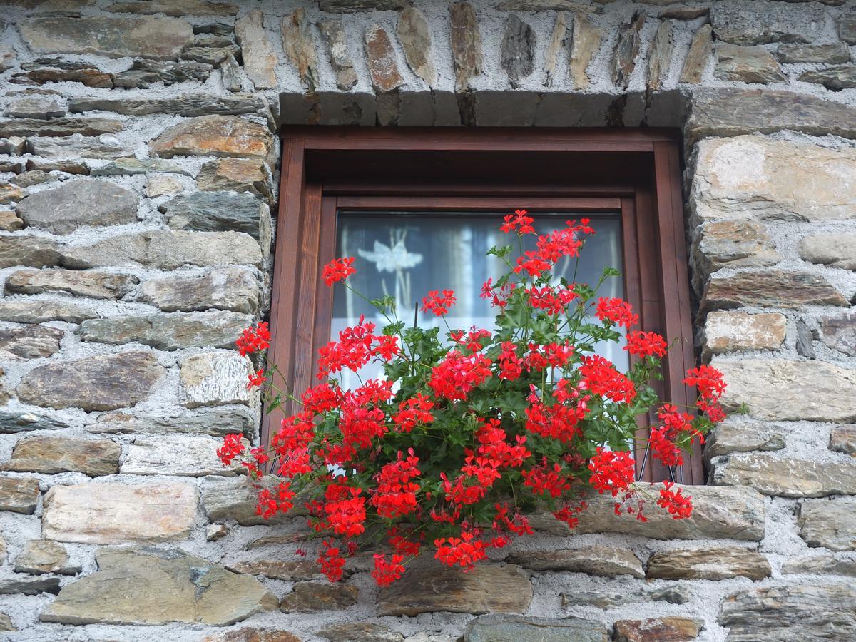 Agriturismo Al Castagneto Villa Mazzo di Valtellina Bagian luar foto